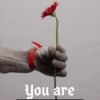 Youtube Video Template Set for youtube channels- The Rose Flowers